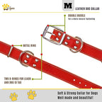 ADITYNA Heavy-Duty Leather Dog Collar for Medium Dogs - Soft Padded for Comfort - Red Dog Collar for Walking, Training, and Hiking