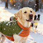 Reversible Waterproof Dog Coat - Adjustable Winter Jacket for Small to Large Breeds, Warm Cold Weather Apparel for Medium Dogs (Pink & Khaki, Medium (Pack of 1))