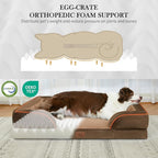 Comfort Expression Orthopedic Dog Bed for Medium Dogs 30x20 Inch, Waterproof Supportive Egg Crate Foam Medium Pet Bed with Removable Bolsters, Dog Couch with Washable Cover & Non-Slip Bottom, Brown