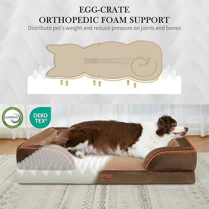 Comfort Expression Orthopedic Dog Bed for Small Dogs 20x14 Inch, Waterproof Supportive Egg Crate Foam Small Pet Bed with Removable Bolsters, Dog Couch with Washable Cover & Non-Slip Bottom, Brown