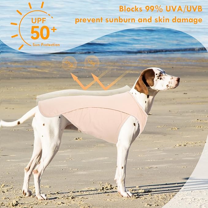 2 Pack Dog Shirt, Quick Dry Cooling T-Shirt for Summer Hot Day, Lightweight Sun Protection Dog Clothes for Boy Girl Easy to Put on, Purple+Pink, XL