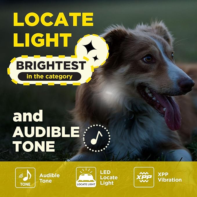 Dogtra 200iQ Remote Training E Collar – 100 Levels, Tone, Vibration, 1/2 Mile Range – Compact, Waterproof, One-Handed Control for Dogs 10 lbs+ – Lightweight Design for Daily Training – Modern Dots