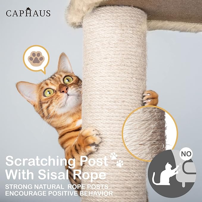CAPHAUS Tall Climbing Modern Indoor Play Tower for Large Cats Kittens, 70-Inch with Top Perch, Cat Cave Condo, Cat Tree w Hammock, Multi-Level Cat Activity Tree w Cute Scratching Posts