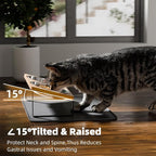 Elevated Whisker Friendly Cat Bowls, 15 Tilted Stand Anti Vomiting Raised Dishes for Food and Water, Stainless Steel Bowls for Cats and Puppy