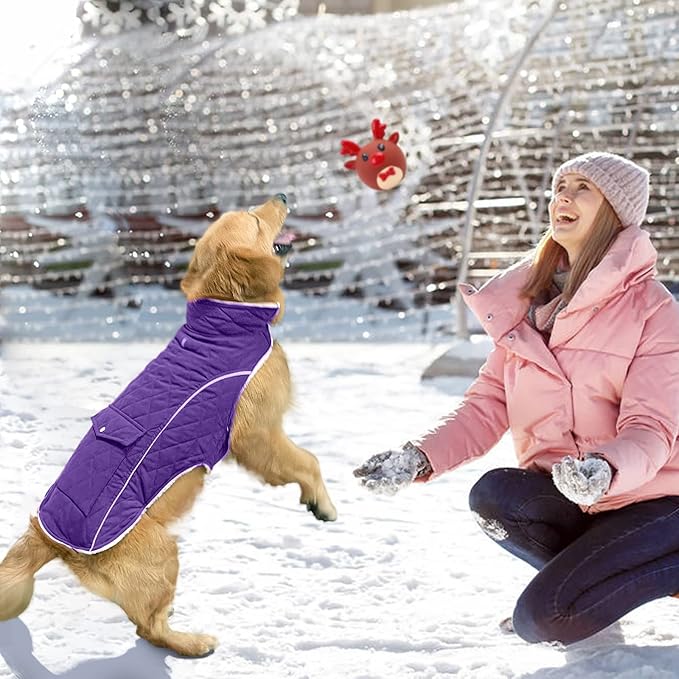 Malier Dog Winter Coat, Windproof Dog Cold Weather Coats with Real Pocket, Winter Extra Warm Pet Coat Fleece Jacket Reflective Clothes for Small Medium Large Dogs and Puppy (Purple, Medium)