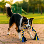 Dog Rope Toys Heavy Chew Toys for Medium & Large Breed Dogs – Durable Rope Toy Set for Teething, Chewing, and Interactive Play(Set of 3 Toys)