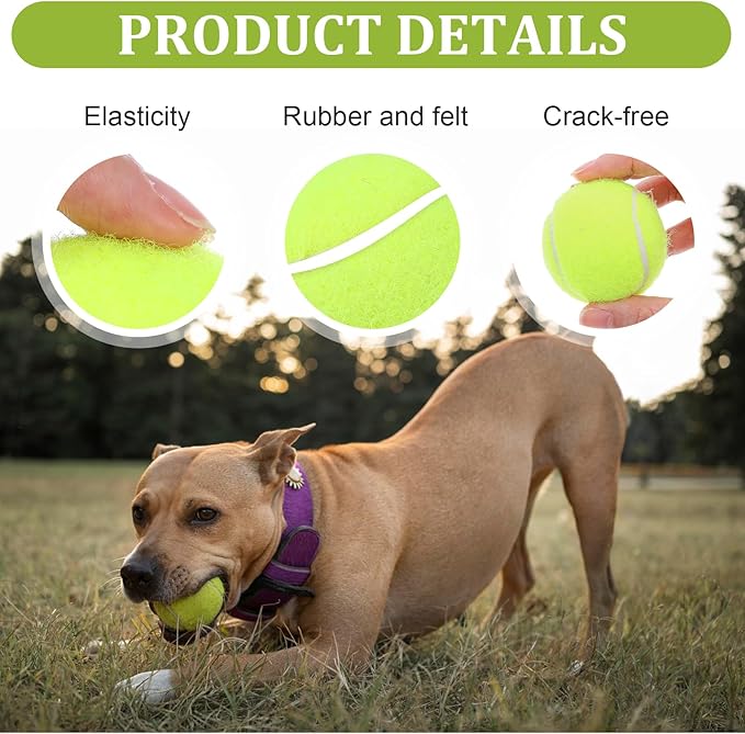 DIVINA VITAE 20Pcs Small Tennis Balls for Dogs, 2 Inch Colorful Mini Tennis Balls Fits All 2 Inch Dog Ball Launchers(Yelllow)
