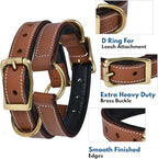 | Genuine Leather Adventure Dog Collar | Full Grain, Heavy Duty | With inner Cushioned padding | Best for Medium, Large & XL Dogs (Large (Fit Neck Size 18.5"-22.5"), Brown With Center O Ring)