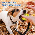 2Pcs Super Bouncy Dog Balls, Fun Indestructible Tennis Balls for Aggressive Chewers, Durable Floating Fetch Toys for Small Dogs with Lifetime Replacement
