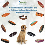 Genuine Leather Dog Collar | Full Grain, Heavy Duty, Comfortable, Padded, Strong | Best for Pups, Small, Medium, Large & XL Breeds (Large (Fit Neck Size 18.5"-22.5"), Black)