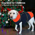 SUNFURA Dog Winter Coat, Warm Dog Coat with Harness for Medium Dogs Boys Girls, Reflective Fleece Lined Pet Winter Jacket Snowsuit for Pug, Jack Russel, Schnauzer, Blue M