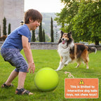 QDAN Giant Large Tennis Ball for Dogs: 9.5" Premium Balls for Dog for Outdoor Play, Big Tennis Ball Dogs Toy, Tennis Ball for Small Medium Large Dog, Pet Balls, Yellow