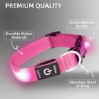 Super Bright LED Dog Collar - Fully Waterproof & Adjustable Glow Collar - USB-C Rechargeable for Night Walking, Safety - Flashing Lighted Collar for Dogs(Pink,S)