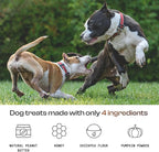 MDRNpup® Unique Dog Treats, Human Grade and All-Natural, Only Four Ingredients, High Protein - Amino Acids, Nothing Artificial, Soft Baked in The USA (13.2 Ounce, Chickpea & Pumpkin)