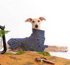 Dog Sweaters for Small Dogs Girls Boys, Striped Pet Sweaters for Fall Winter Dog Clothes, Turtleneck Pullover Knitwear for Small Medium Large Dogs