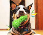 Dog Toy, Toothbrush Dogs Chew Squeaky Toys, Durable Bones for Aggressive Chewers, Dental Oral Care for Small, Medium and Large Dogs - Green