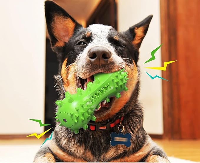 Dog Toy, Toothbrush Dogs Chew Squeaky Toys, Durable Bones for Aggressive Chewers, Dental Oral Care for Small, Medium and Large Dogs - Green