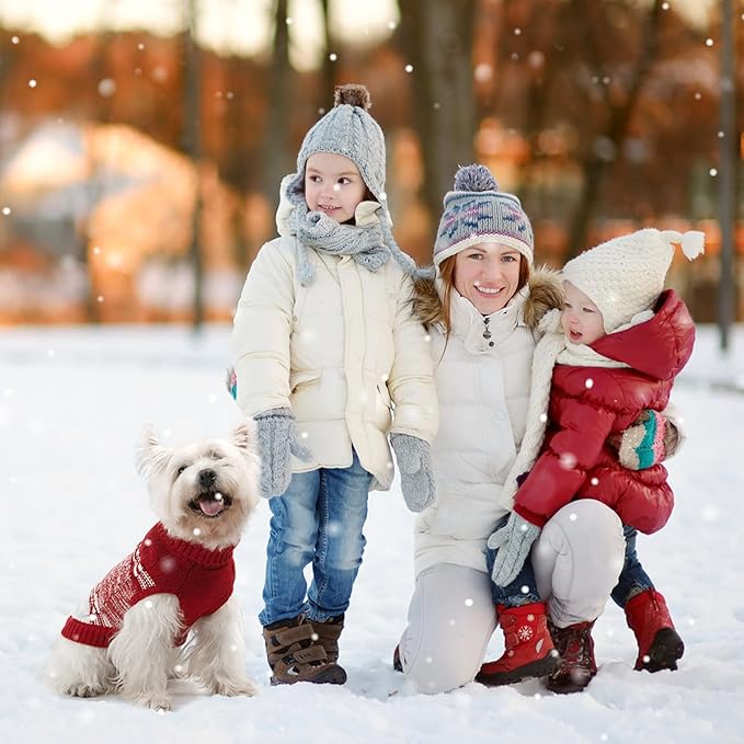 Mihachi Dog Sweaters for Small Medium Dogs Girl Boy,Soft Warm Dogs Shirt, Cold Weather Dog Coat Turtleneck Knitted Pullover Dog Clothes Costume with Leash Hole for Large Cat Puppy Doggy Pet,Red SM