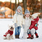 Mihachi Dog Sweaters for Medium Dogs Girl Boy,Soft Warm Dogs Shirt, Cold Weather Dog Coat Turtleneck Knitted Pullover Dog Clothes Costume with Leash Hole for Large Cat Puppy Doggy Pet,Red M