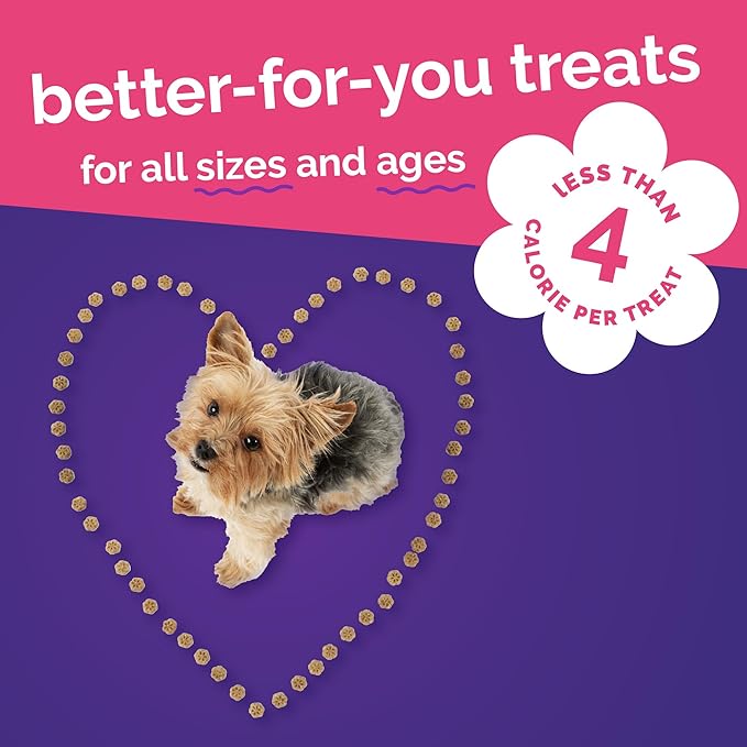 Fruitables Skinny Mini Dog Treats, Healthy Sweet Potato Treat for Dogs, Low Calorie & Delicious, Puppy Training, No Wheat, Corn or Soy, Made in The USA, Grilled Bison Flavor, 12oz