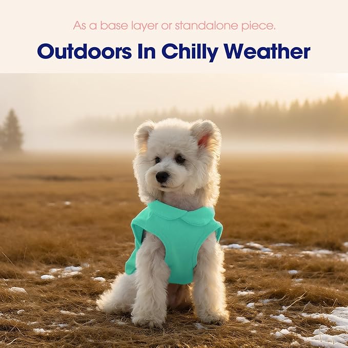 FUAMEY Dog Fleece Vest for Small Dogs,Warm Stretchy Dog Sweatshirts Pullover with Leash Hole Dogs Sweater Soft Pet Turtleneck Cozy Pet Vest Lightweight Sleeveless Cyan S
