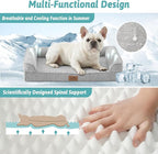 Cooling Dog Bed, Orthopedic Foam Dog Bed with Sides, Removable Cover & Waterproof Lining and Nonskid Bottom, Comfortable Pet Beds for Medium Dogs, Grey (36" L x 27" W x 6.5" Th)