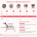 Queenmore Knitted Pullover Dog Sweater,Turtleneck Pet Cat Sweater, Cold Weather Puppy Clothes Stitching Knitwear with Leash Hole for Small Medium Dogs(Pink,M)