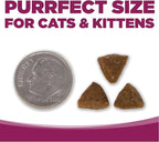 NutriSource Cat & Kitten Food, Chicken and Rice, 4LB