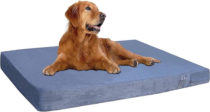 Dogbed4less Orthopedic Gel Memory Foam Pet Dog Bed, Waterproof Liner with External Microsuede Cover and Bonus Antislip Cover (Microsuede Gray, 55"X47"X4" Inches)