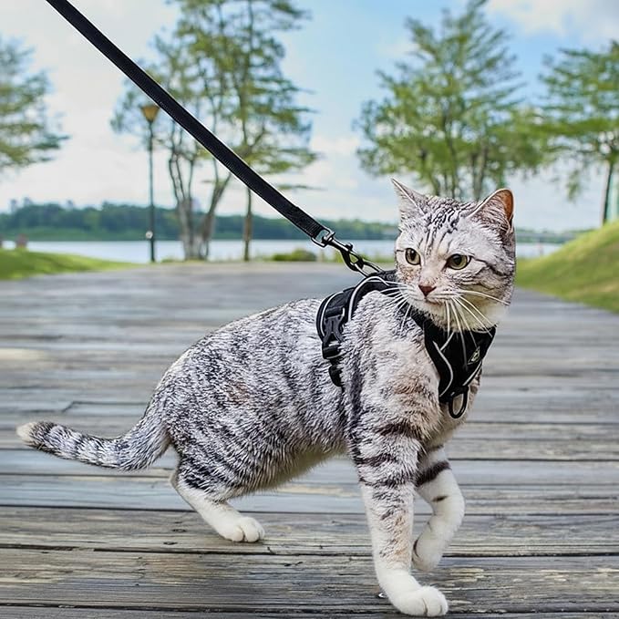 Cat Harness and Leash Set Escape Proof Tactical Medium Kitten Harness Emotional Support Cat Vest, Black, M