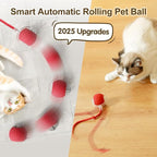 Interactive Cat Toy Ball, 2025 Upgraded Cat Toys for Bored Indoor Adult Cats, Self Rolling Interactive Dog Ball Toy, Automatic Smart Pet Toy Ball Kitten Toys (Red Green)