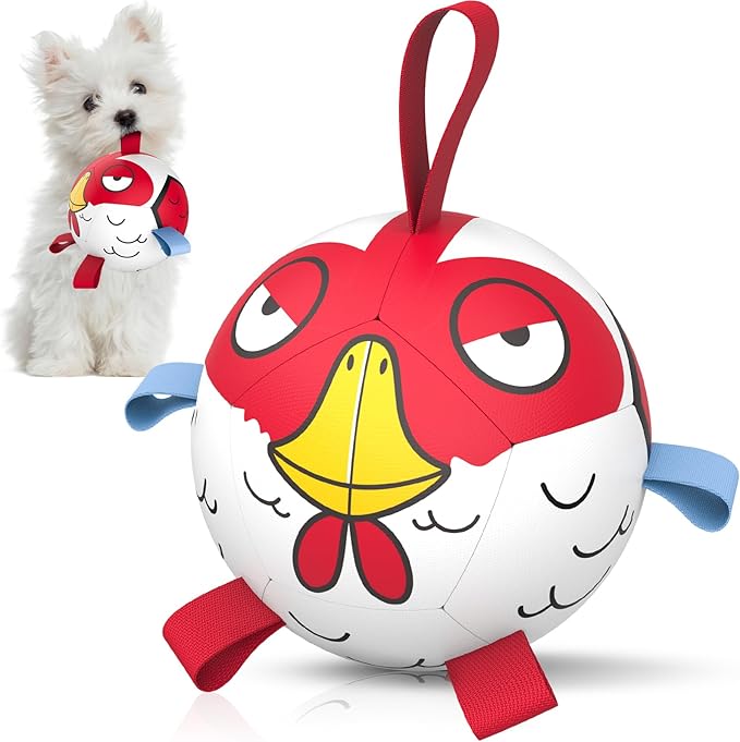QDAN Soccer Ball Dog Toy - Extra Small Dog Balls, Beach & Pool, Chicken & Puppy Gifts, Herding (5 Inch)