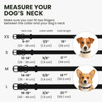 BRONZEDOG Rolled Leather Dog Collar for Small Medium Large Dogs with QR ID Tag (L: 16-18 Inch, Glossy Black)