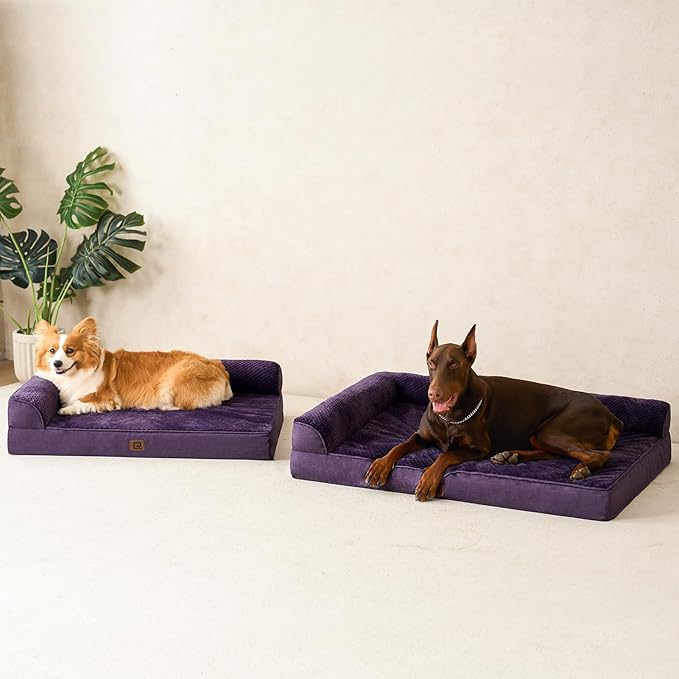 EHEYCIGA Memory Foam Dog Bed XLarge Sized Dogs, Extra Large Dog Bed Orthopedic with Washable Removable Cover, Waterproof XL Pet Bed Couch, 44x33x6 Inches, Purple