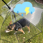 NAMSAN Dog Umbrella for Small Dogs, Self-Assembly Dog Umbrella Leash, Clear Doggie Rain Umbrella, Puppy Walking Umbrella with Adjustable Leash