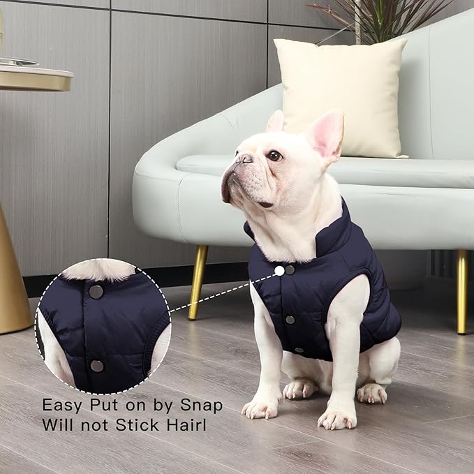 2 Layers Fleece Lined Warm Dog Jacket for Winter Cold Weather,Soft Windproof Medium Dog Coat,Blue XL