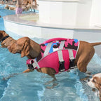Kuoser Dog Life Jacket with Reflective Stripes - Adjustable High Visibility Vest, Ripstop Lifesaver, Pet Preserver with High Flotation Swimsuit for Small, Medium and Large Dogs