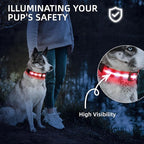 Super Bright LED Dog Collar - Fully Waterproof & Adjustable Glow Collar - USB-C Rechargeable for Night Walking, Safety - Flashing Lighted Collar for Dogs(Red,Large)