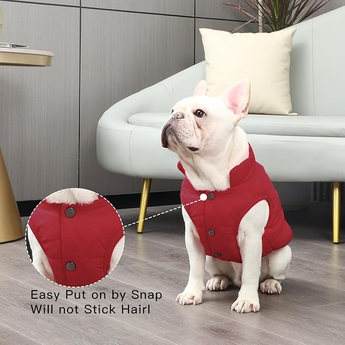 2 Layers Fleece Lined Warm Dog Jacket for Winter Cold Weather,Soft Windproof Medium Dog Coat,Red L