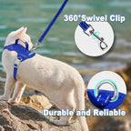Cat Harness and Leash Set Escape Proof for Kitten Walking, Soft Adjustable Top Handle Vest Harnesses for Cats, Easy Control Breathable Reflective Small Medium Large, Sapphire Blue,M