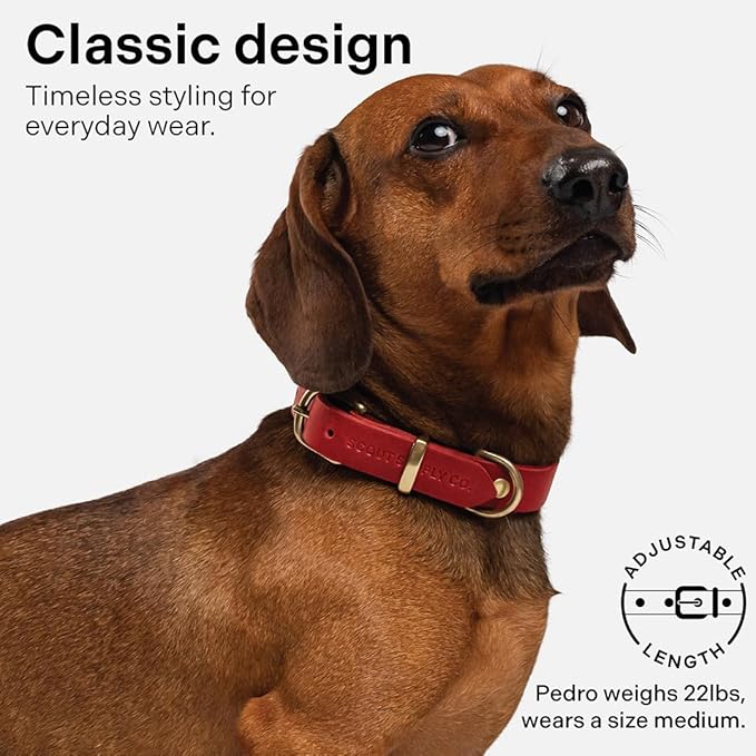 Classic Genuine Leather Dog Collar | Dog Collars for Medium Dogs, Small Dogs, Large Dogs & Extra Large Dog | Wide Dog Collar | Heavy Duty Collar (Red, XX Large)