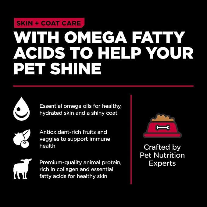 Go! Solutions Skin + Coat Care, Dry Dog Food, Lamb Recipe with Grains, 3.5 lb Bag