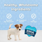 Blue Buffalo Blue Bits Natural Soft-Moist Training Dog Treats Chicken & Beef Recipes 16-oz bag Variety Pack, 2ct