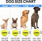 Dog Squeaky Tennis Balls for Pet Playing in 3 Sizes Premium Strong Dog & Puppy Balls for Training, Play, Exercise The Easiest Color for Dogs Red Yellow Blue (Medium-12pack)