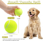 Magicorange 20 Pack Small Tennis Balls, 2 inch Squeaky Tennis Ball for Dogs,Colorful Easy Catching Squeaky Dog Balls with Mesh Bag for Easy Transport (Multicolor)