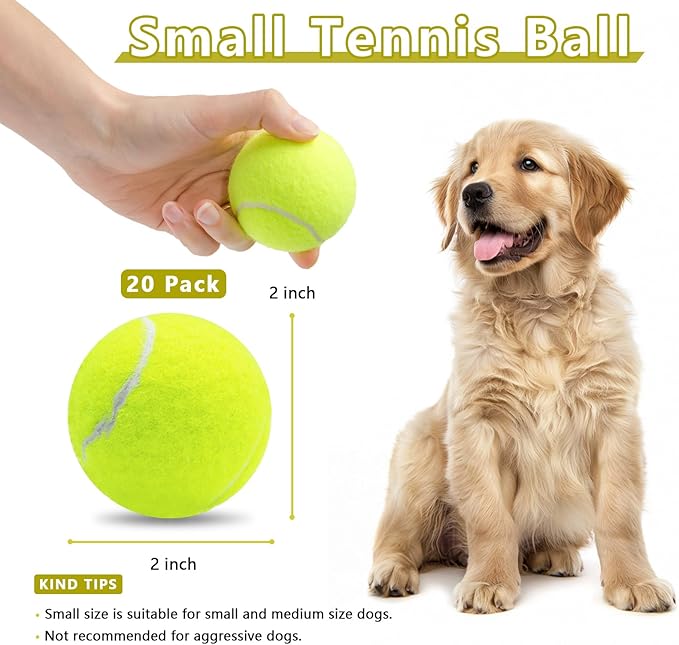 Magicorange 20 Pack Small Tennis Balls, 2 inch Squeaky Tennis Ball for Dogs,Colorful Easy Catching Squeaky Dog Balls with Mesh Bag for Easy Transport (Yellow)