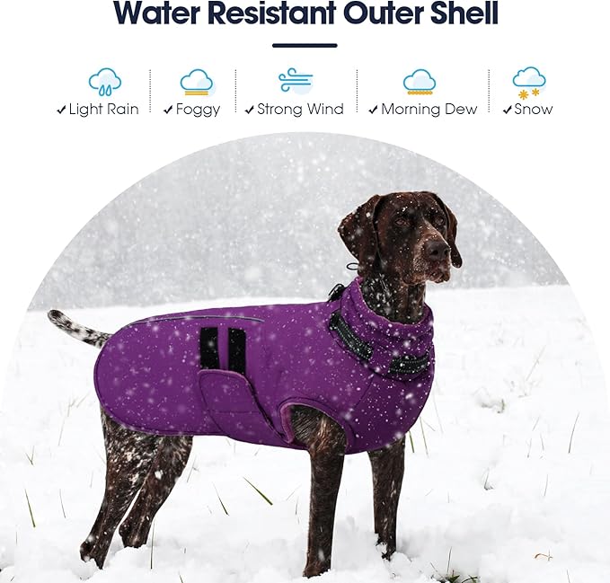 IECOii Dog Coats for Large Dogs Winter Waterproof Jacket with Collar Built in, XXL Dog Coat for Cold Weather Warm Snow Jacket with Thermal Fleece Lining, Reflective Pet Snowsuit Large, Purple - 2XL