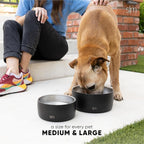 Simple Modern Stainless Steel Pet Water Bowl for Dogs & Cats | Reusable Insulated Stainless Steel Food Bowls for Dog Cat | No Tip No Slip BPA Free | Bentley Collection | Large (64oz) | Lavender