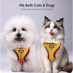 Cat Harness and Leash Set for Walking – Escape-Proof Reflective Vest for Cats and Small Dogs, Adjustable Soft Air Mesh with Pressure-Reducing Design, 4.92ft (Blue & Purple, L)