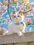 Cat Collar Breakaway, Personalized Leather Cat Collar with Bells -Adjustable Customized Collar with Name & Phone Number Tag for Girl Boy Cats -Quick Release Buckle for Cats & Kittens (Blue)